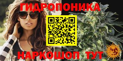 apvp Абинск