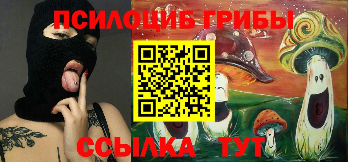 Александров  Псилоцибиновые грибы MAGIC MUSHROOMS  Вход с VPN  Галлюциногенные грибы Cubensis 