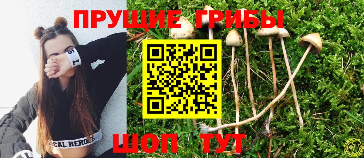 Псилоцибиновые грибы Magic Shrooms Александров
