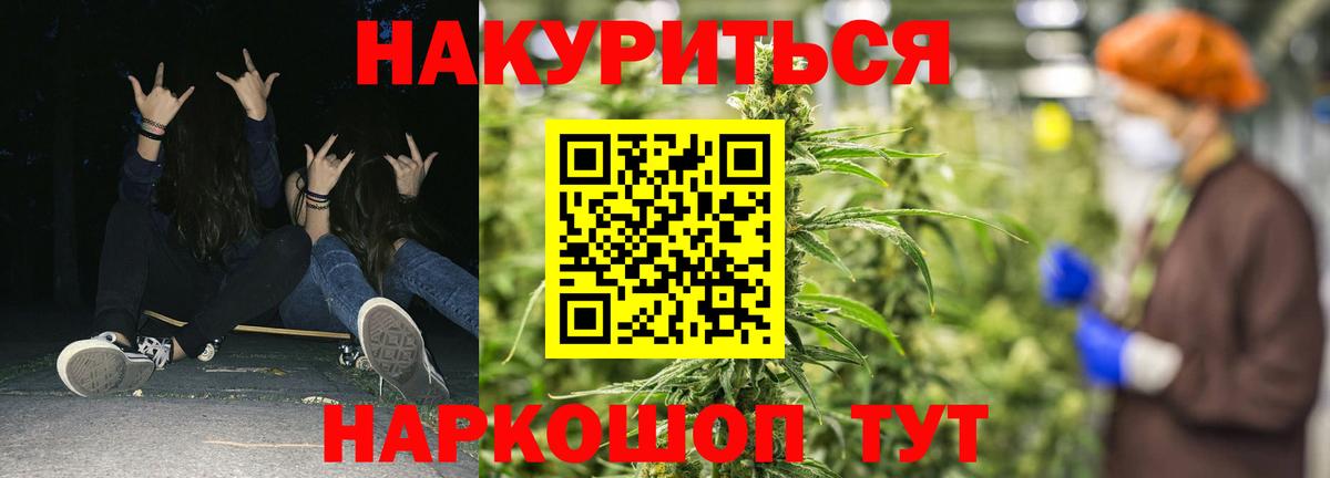 Конопля конопля  Конопля White Widow  Александров  Вход с VPN 